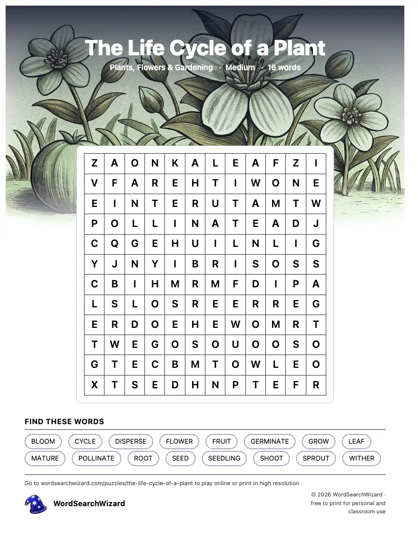 The Life Cycle of a Plant word search printable sheet, 16 words to find