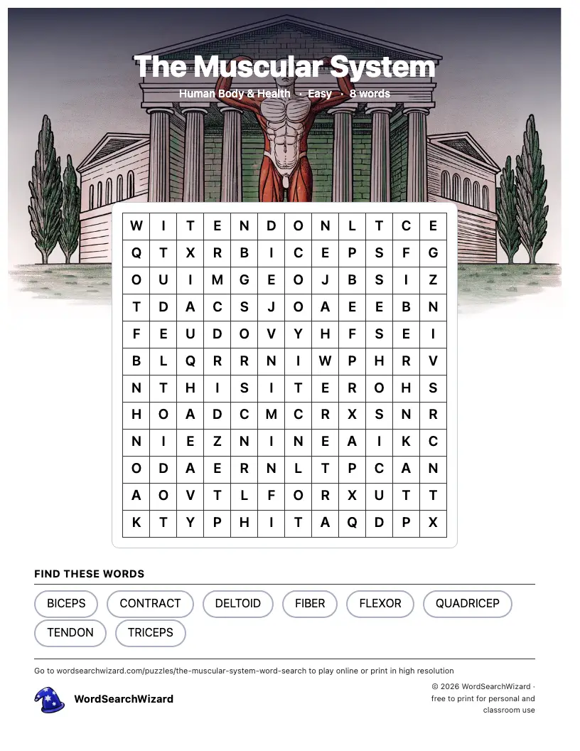 The Muscular System word search printable sheet, 8 words to find