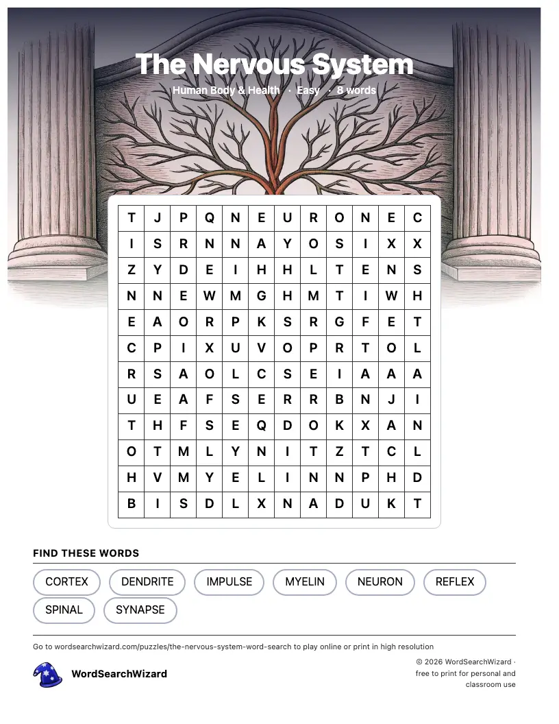 The Nervous System word search printable sheet, 8 words to find