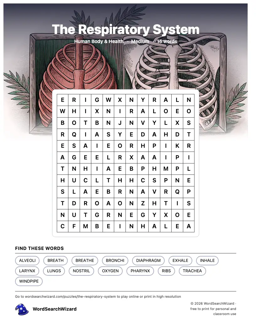 The Respiratory System word search printable sheet, 15 words to find