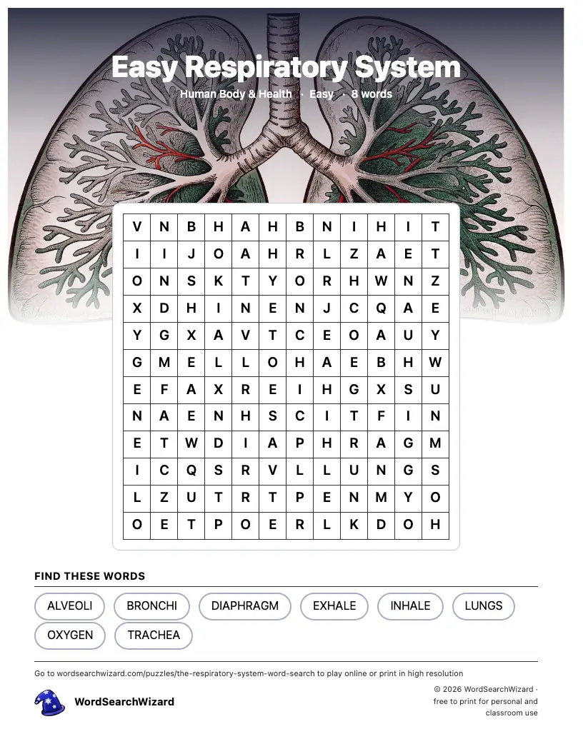 Easy Respiratory System word search printable sheet, 8 words to find